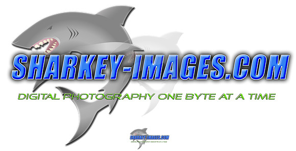 Sharkey-Images