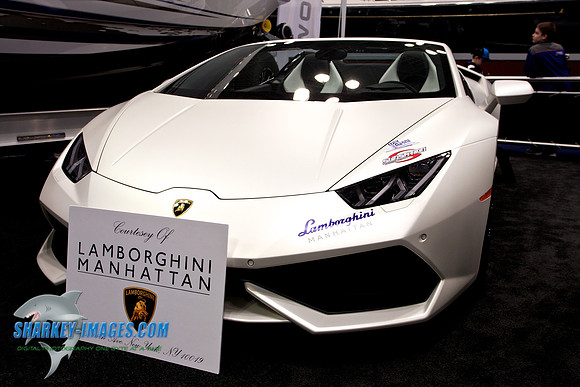 170128-NY 77