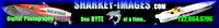 sharkey-images.com_468.gif