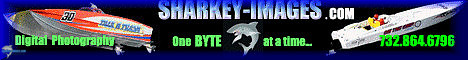 sharkey-images.com_468.gif