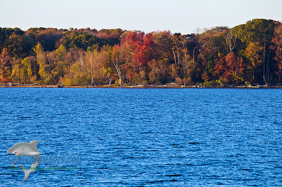 111030 9 - Version 2