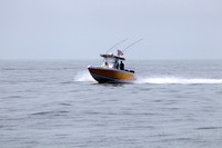 1306223SS 264