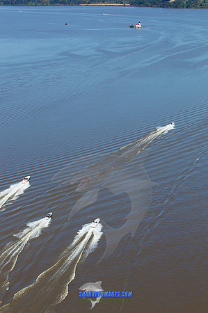 111008A 994 - Version 2