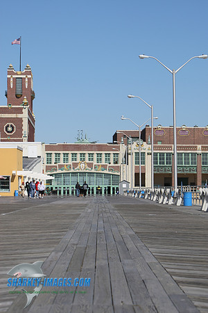 5T0F0027.JPG