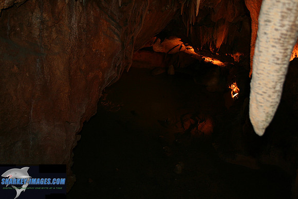 110208_ 006.jpg