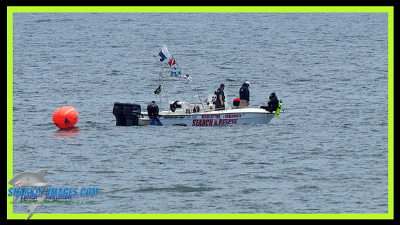 DIVE-TEAM