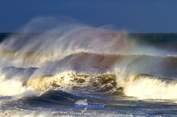 110828B 49 - Version 2