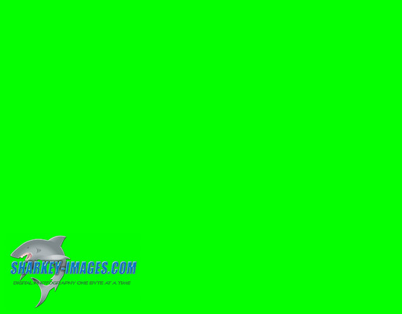 82F5957B-365A-46E4-B0E9-BB455E0348D2