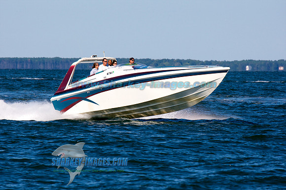 101002A 273 - Version 2