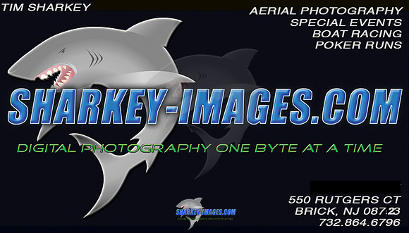 Sharkeycard4_REV.jpg