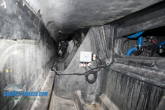 062609H 231.jpg