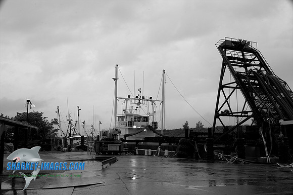 110827A 121 - Version 2