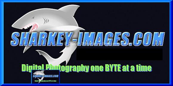 sharkey-images_logo.gif