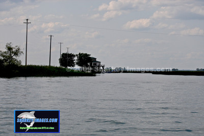 072909 382 - Version 2.jpg