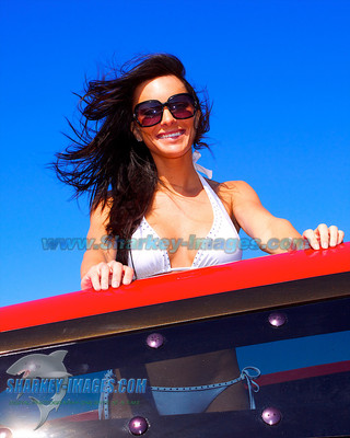 111112A 366 - Version 2