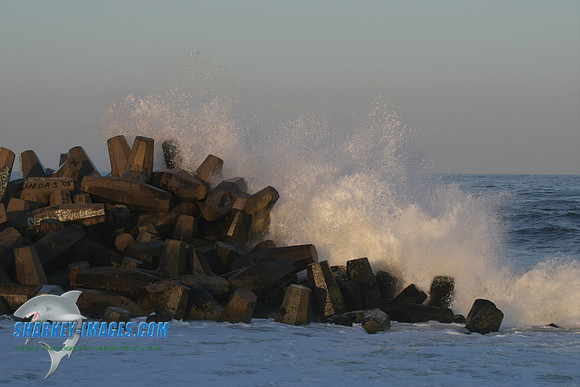 5T0F0058.jpg