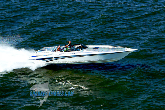 110730D 786 - Version 2