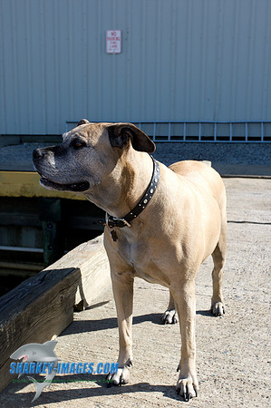 05072010_ 88 - Version 2