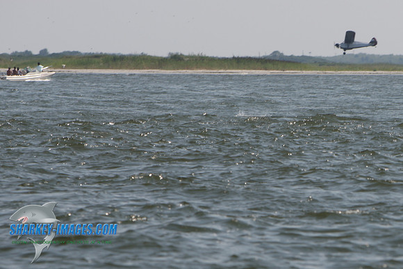 0801609 220 - Version 2.jpg
