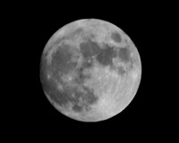 MOON  008 - Version 2.jpg