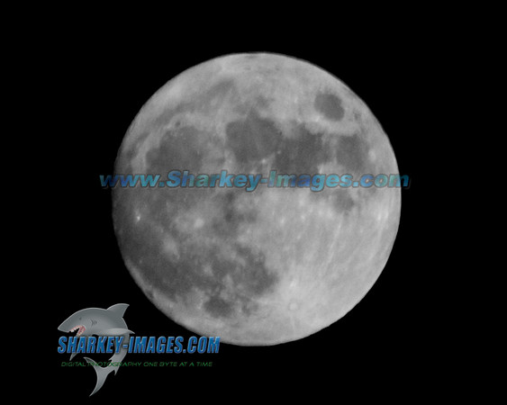 MOON  008 - Version 2.jpg