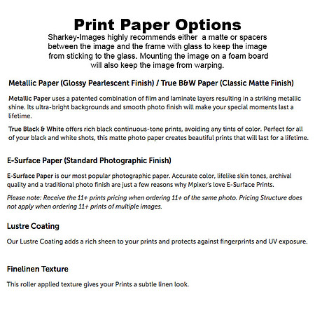 PAPER PRINTS-MX