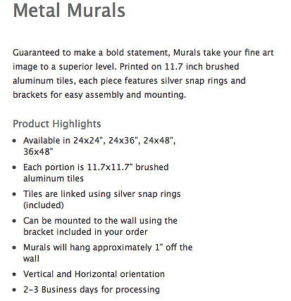 METAL MURALS-MX