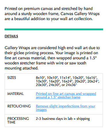 CANVAS DESCRIPTION-MX