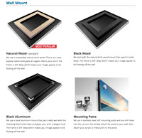 Wall Mount