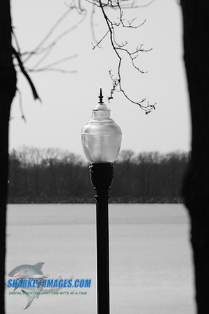 020209 086.jpg