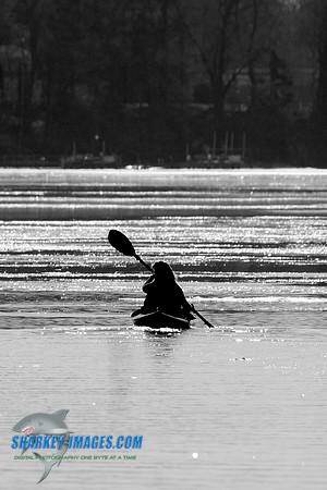 020209 023 BW.jpg
