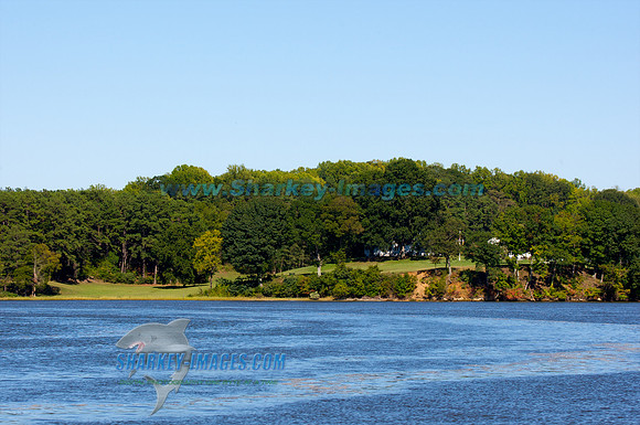 101002A 377 - Version 2