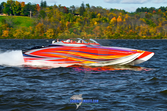 101009C 217 - Version 2.jpg