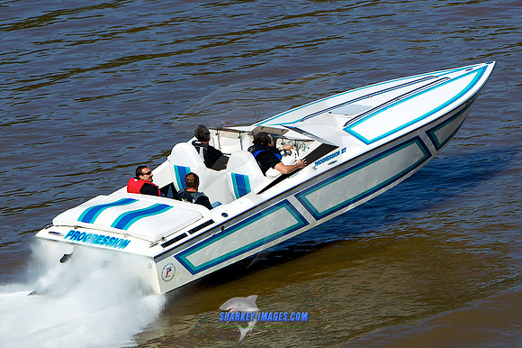111008A 219 - Version 2