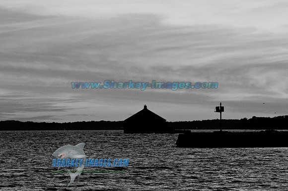 110812C 69 - Version 2