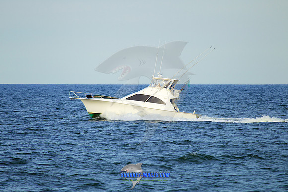 160902A 296