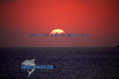111113R3 907 - Version 2