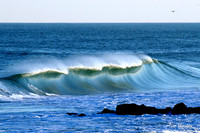 R 017_C16x24S