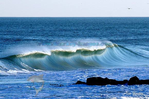 R 017_C16x24S