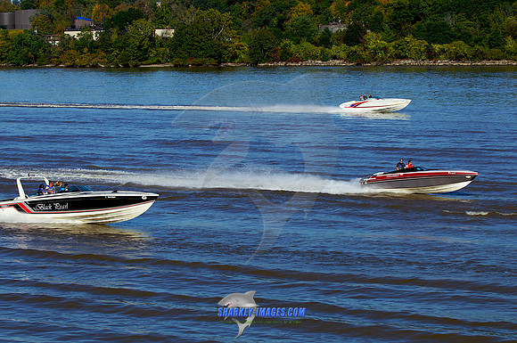 111008B 131 - Version 2