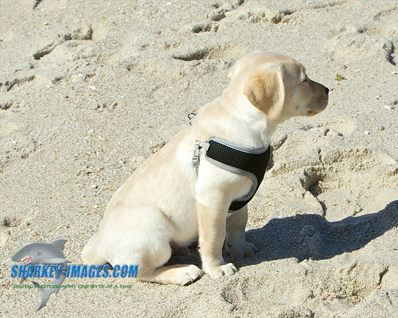 210320 66