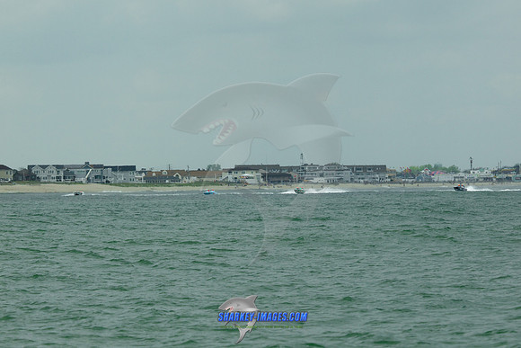 180520A 215