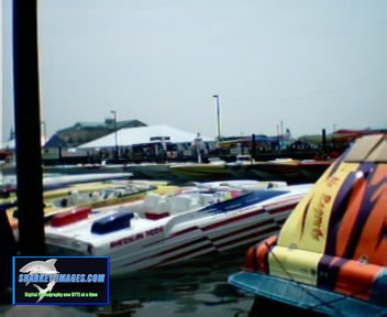 Picture 5.jpg