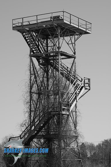 TSI_0070.JPG