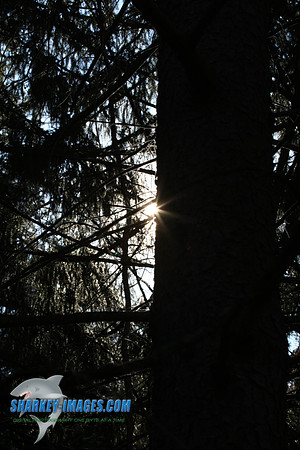 020209 056.jpg