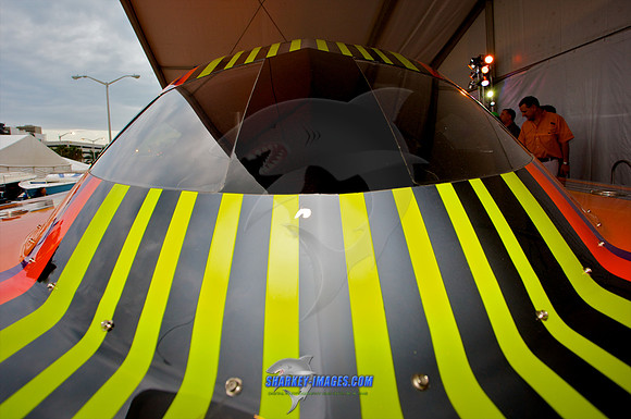 021210_ 315 - Version 2.jpg