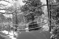 020409 013.jpg