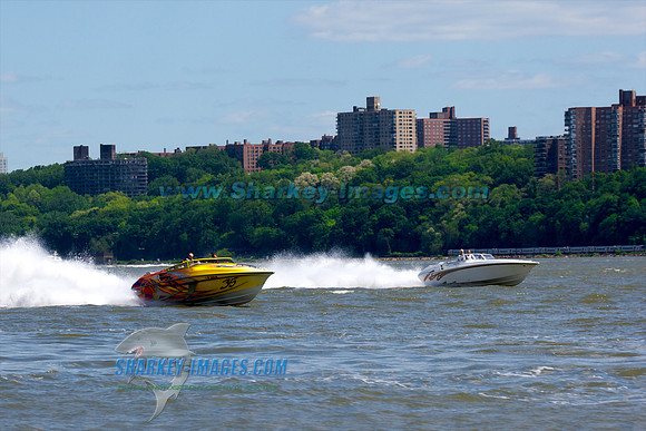 0515010B_ 254 - Version 2
