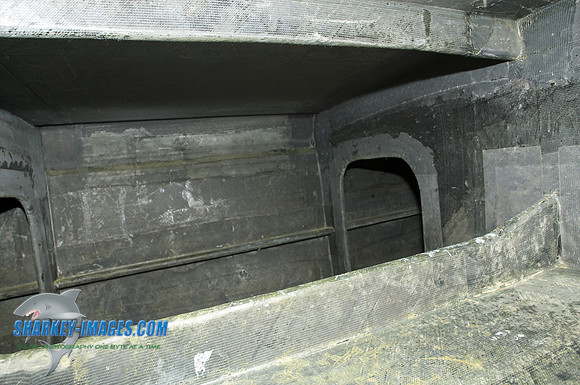 062009D 74.jpg