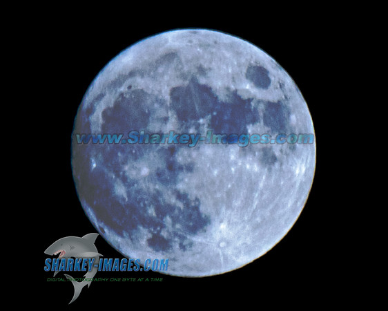 MOON  004 - Version 2.jpg